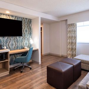 One-Bedroom King Suite